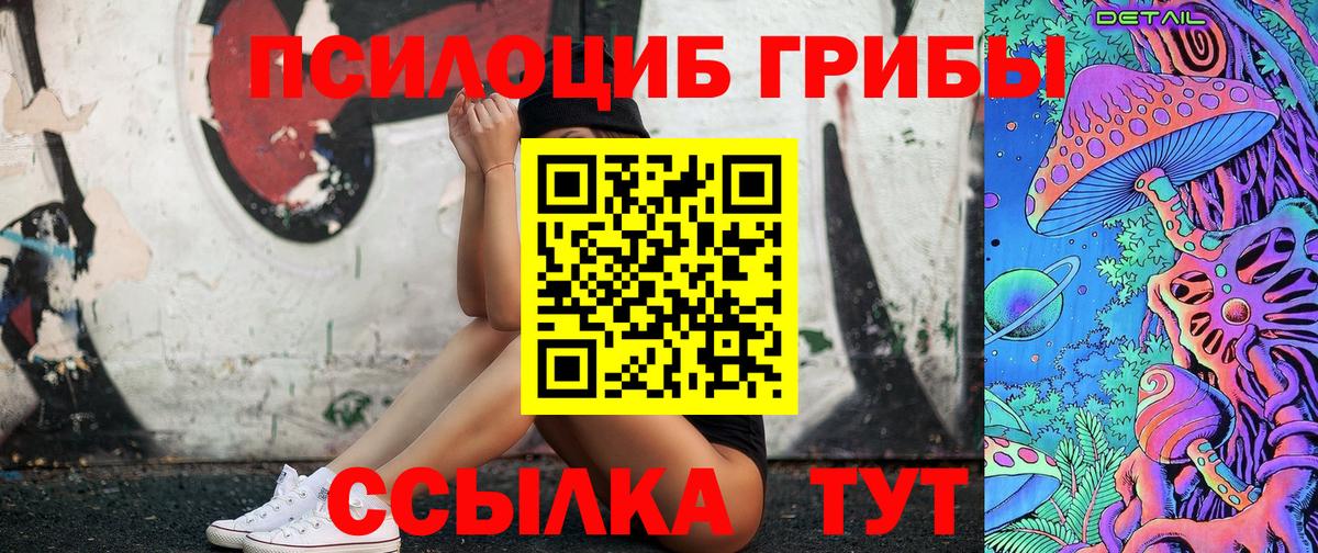 Псилоцибиновые грибы Psilocybe Тулун